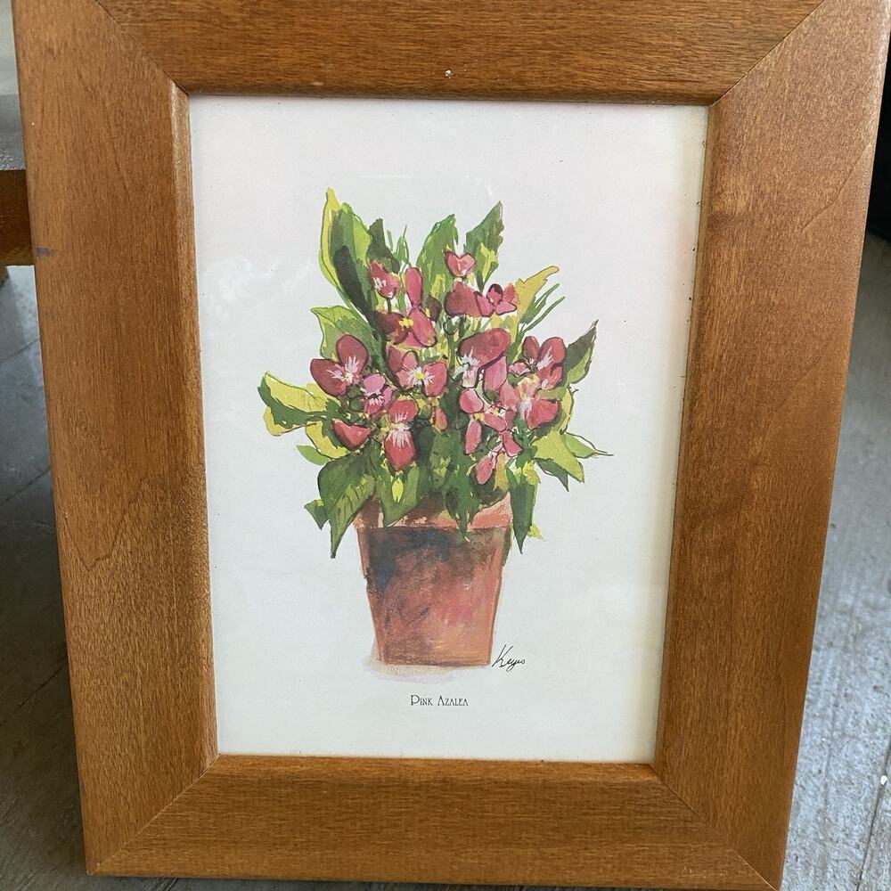 Keyes Watercolor Painting Art print Botanical Floral Framed Pink Azalea Pontical